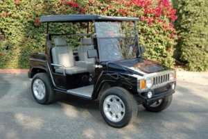 affordable golf cart rental, golf cart rent escondido